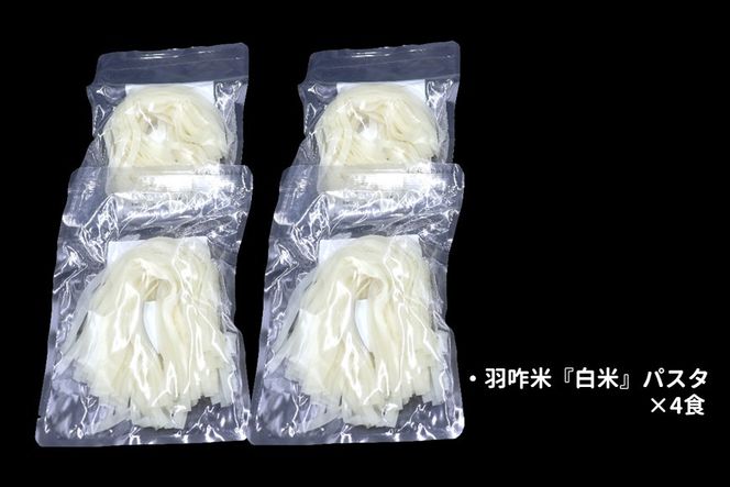 能登のこだわり自然栽培こしひかり 羽咋米を使った米粉のパスタ麺[白米麺×4]