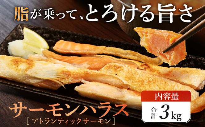 サーモン ハラス 3kg (200ｇ×15p) アトランティックサーモン 鮭 鮭はらす 干物 ひもの 大洗町 焼魚 焼き魚 魚 魚介 海鮮 海産物 冷凍 工場直送 おかず おつまみ