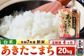 《定期便4ヶ月》令和7年産 新米 【白米】秋田県産 あきたこまち 20kg（5kg×4袋）|23_kml-032004