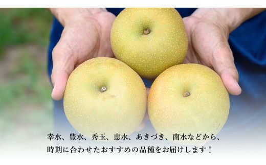 【 先行予約 】茨城県産 梨 品種おまかせお楽しみセット 約5kg 8玉～16玉 ( 茨城県共通返礼品 : 常陸太田市 )【 2026年 9月上旬頃より発送 】  フルーツ 果物 国産 日本産 梨 ナシ なし 和梨 期間限定 数量限定