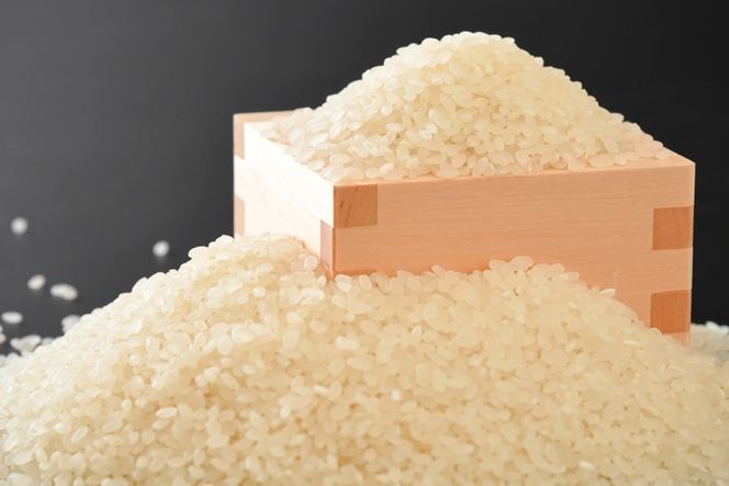 [F035] 自然栽培コシヒカリ使用 米焼酎「のと千里浜」720ml