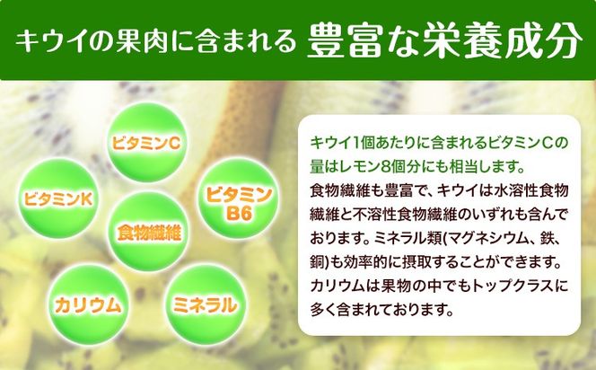 先行予約 和歌山県産 キウイフルーツ 約3.6kg 約20玉～36玉前後 前商店《2026年2月上旬-3月末頃出荷》キウイ キウイフルーツ フルーツ スイーツ 果物 送料無料---wsk_mes18_2j3m_25_14000_20t---