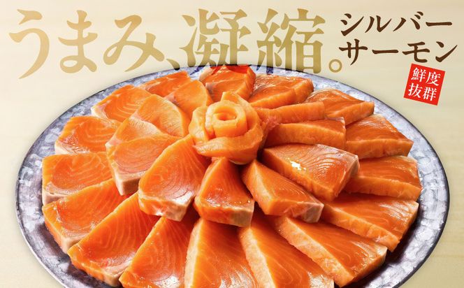 099Z345 サーモン 定期便 1kg×全2回【ポーション 訳あり サイズ不揃い 刺身 海鮮丼 さーもん サラダ カルパッチョ 鮭 さけ シャケ しゃけ 人気 小分け 冷凍 家計応援】