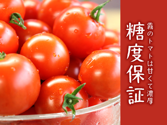 【霧で育てた濃厚な味】霧のトマトSummer 200ｇ×4パック（06-51）