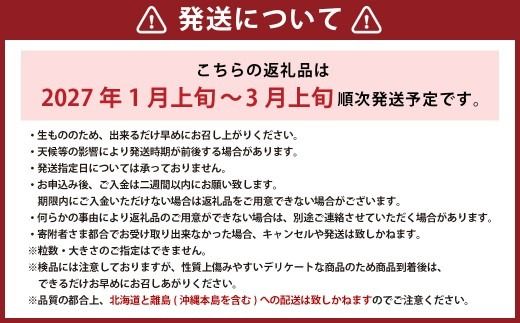 完熟あまおう 贈答用 2パック 合計約500g～820g 【2027年1月上旬～3月上旬までに出荷予定】 いちご 苺 イチゴ ベリー 果物 フルーツ お取り寄せ デザート おやつ