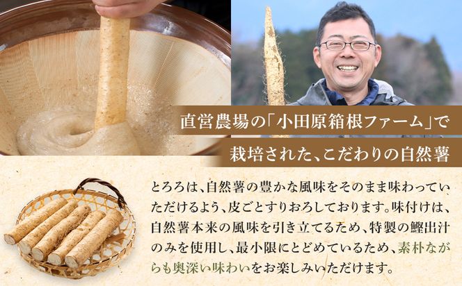 自然薯の味をお楽しみください。自然薯生とろろ100ｇ×10ｐセット【とろろ 極上とろろ 山芋 お家用 家庭用 国産 セット商品 自然薯 神奈川県 小田原市 】 142069_DV010