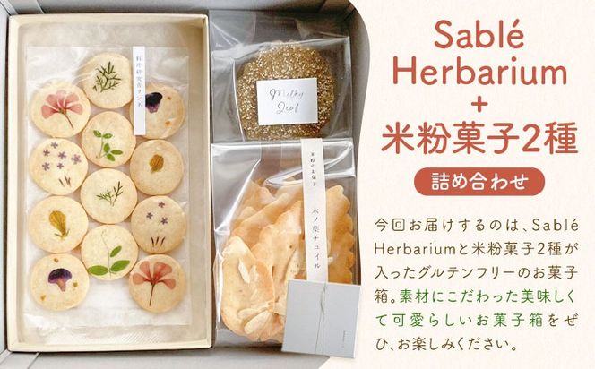 Box Sablé Herbarium サブレ12枚 米粉菓子2種 料理研究舎リンネ《30日以内に出荷予定(土日祝除く)》熊本県 南阿蘇村 サブレハーバリウム サブレ グルテンフリー 米粉 エディブルフラワー カモミール クッキー 焼菓子 焼き菓子 お菓子 贈り物 プレゼント---mna_rkrshbm_r7_30d_12500_box---