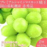2026年 先行予約プレミアム シャインマスカット 晴王 2房約1.15kg/ 岡山県 船穂産 赤秀品 種無し 皮ごと食べる みずみずしい 9月10月にお届け フレッシュ 晴れの国 おかやま 果物大国 彩美菜果