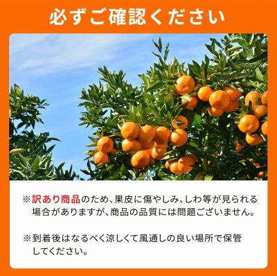 G7359_【2027年先行予約】紀州有田産 不知火 (しらぬい)【家庭用 訳あり】8.5kg