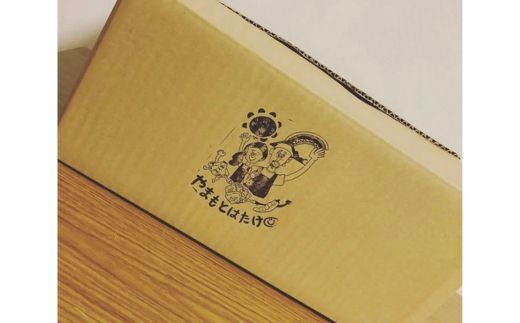 さつまいも4kg ｜ サツマイモ 紅はるか かんしょ 美浜町産 知多半島産 愛知県産 国産 期間限定　※北海道・沖縄・離島への配送不可