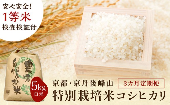 【3ヶ月定期便】2026年産 京都・京丹後峰山 特別栽培米コシヒカリ 5kg 【白米】 1等米 検査済証付　ふるさと納税 米 玄米 定期便 京都 コシヒカリ 特別栽培 ふるさと納税 玄米 定期便　MF00084