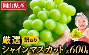 【2025年出荷先行予約】 厳選 シャインマスカット 訳あり 約600g ぶどう マスカット フルーツ 先行予約 2025 果物 岡山 不揃い 晴王 ブドウ ご家庭用 シャイン 先行予約 お手頃---ofn_cwsm_ae911_25_9000_600---