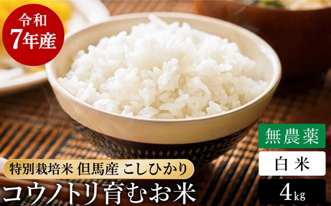 令和7年産 無農薬 白米 4kg コウノトリ育むお米 但馬産 こしひかり 兵庫県産(2kg×2袋)（94-001）無農薬 お米 4キロ 精米 白米 コウノトリ米 コシヒカリ 農薬不使用 特別栽培米 予約 コメ こめ ご飯 ライス 無農薬米
