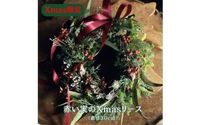 Xmas限定　クリスマスリース Φ30　　花　インテリア　クリスマス　リース　ドライフラワー　おしゃれ　玄関飾り　壁飾り　植物　暮らし　冬　季節限定　きれい　綺麗　季節 ※2025年11月下旬頃より順次発送予定