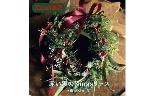 Xmas限定　クリスマスリース Φ30　　花　インテリア　クリスマス　リース　ドライフラワー　おしゃれ　玄関飾り　壁飾り　植物　暮らし　冬　季節限定　きれい　綺麗　季節