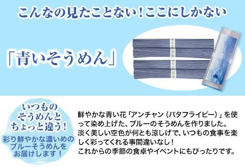 そらいろそうめん濃色 選べる 2セット 3セット 6セット 福永幸山堂《60日以内に出荷予定(土日祝除く)》---sm_smtk_60d_25_7500_2p---