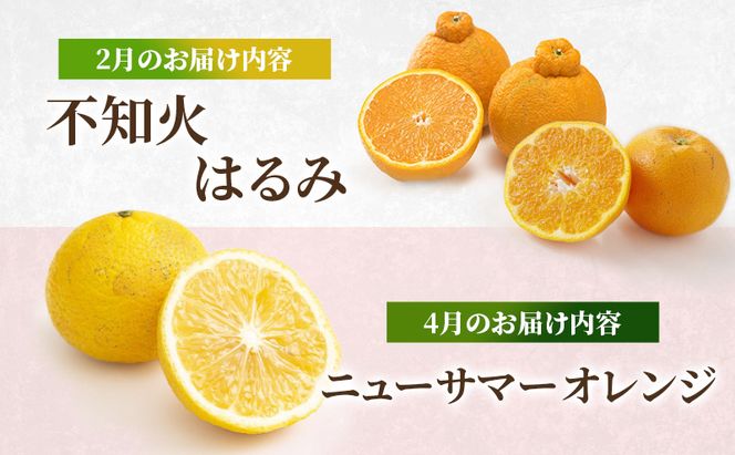 定期便 2回 先行予約 【 桃 白桃 7月頃 梨 9月頃 】白鳳 特製桃源郷錦 約1kg、清流錦梨 約5kg もも モモ なし フルーツ 果物 デザート お楽しみ 2026年発送 配送不可:離島 