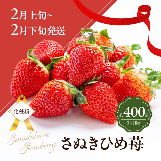 讃岐のいちご定期便（全3回）【さぬきひめ】