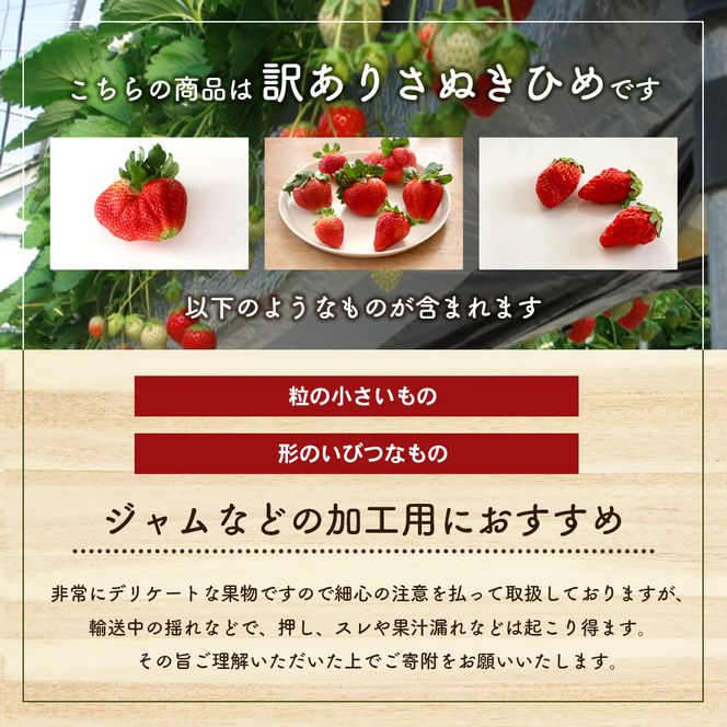 いちご さぬきひめ 訳あり 香川県オリジナル品種 1.2kg 不揃い 小粒 加工用 ジャム スムージー ソース スイーツ 苺 さぬき姫 ストロベリー フルーツ 果物 くだもの 冷蔵 お取り寄せ 五色青果 香川県 東かがわ市 46312611