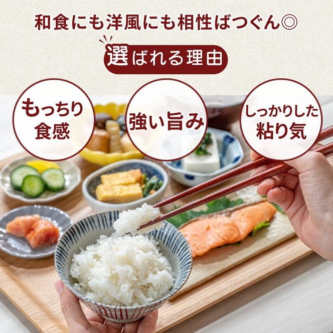 令和7年産 筑波山麓ホタルの里 厳選米 コシヒカリ3kg　透き通った大粒米 | 多数入荷する当地産米の中からプロの目利きと試食確認による、厳選した生産者のお米をお届けいたします　※離島への配送不可 ※2025年10月下旬～2026年7月下旬頃に順次発送予定