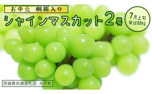 【 お中元 桐箱入り】 シャインマスカット ２房 【2026年7月上旬発送開始】(茨城県共通返礼品：大子町) ぶどう 葡萄 マスカット フルーツ 果物 贈答用 ギフト 贈り物