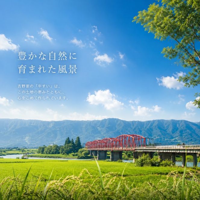 定期便 12回 吉野家 牛すい 20袋 フリーズドライ 常温保存 食品 牛肉 インスタント 常温 非常食 保存食 災害 防災 備蓄 ローリングストック 非常用 備蓄用