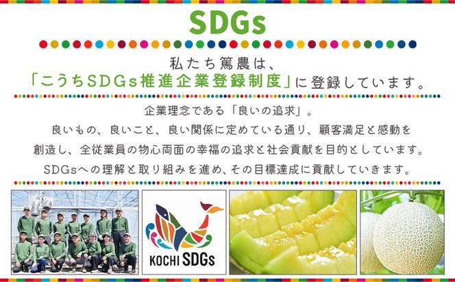 【２回定期便】一果相伝マスクメロン 家庭用 1玉入り めろん 青肉 自宅用 ジューシー 果汁 至福 美味しい 甘い あまい 篤農 産地直送 高知県 香南市 常温 Wtn-0057