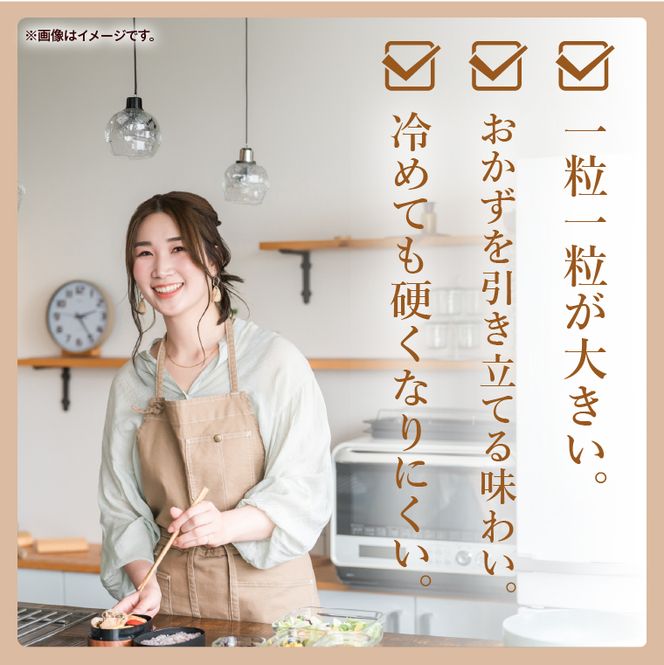 【人気4銘柄食べ比べ】令和7年産 茨城県産 コシヒカリ・あきたこまち・ふくまる・ミルキークイーン　5kg×各1袋（計20kg）【お米 米 コメ こめ たべくらべ 65000円以内】(AL174)