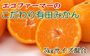 エコファーマーのこだわり 有田みかん 約5kg サイズ混合 秀・優品 ★2024年11月中旬頃より順次発送 BZ126