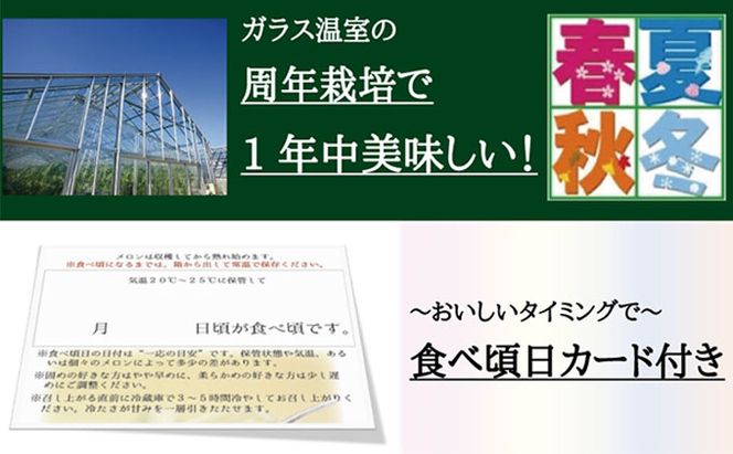 数量限定！『クラウンメロン 山等級 ”極みメロン” 3玉』 ギフト箱入 人気 厳選 ギフト 贈り物 デザート グルメ 果物 袋井市 果物類 メロン青肉 フルーツ 