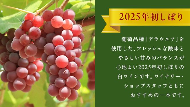 青デラ 750ml ワイン 白ワイン 白 酒 牛久シャトー デラウエア