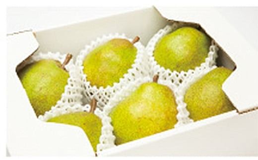 FYN9-915 ≪2025年先行予約≫山形県産 西洋梨 ラ・フランス 2kg (6～7玉)秀品 2025年11月上旬から順次発送 洋梨 洋なし ラフランス 秋果実 果物 くだもの フルーツ ギフト 産地直送 山形県 西川町 月山