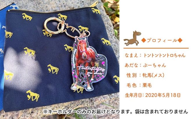馬 たてがみ 尻尾 手作り レジン キーホルダー ２個(トントントントロ＆グラマー) オリジナル [№5735-1919]