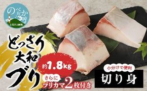 どっさり大和ブリ 切り身　N072-YC118