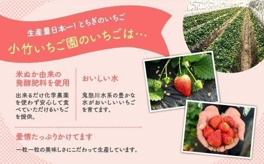 大徳用『順次3月5～7日発』チビいちご（栃木とちあいか）約4.3kg　16 先行予約]「とちあいか 2パック」計約600g 可愛いハート形 [2026