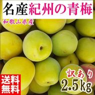青梅 2.5kg 紀州南高梅 シロップ・梅酒・梅干し用など 和歌山県有田産 訳あり 2026年5月下旬～7月上旬発送予定  CE050