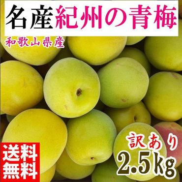 青梅 2.5kg 紀州南高梅 シロップ・梅酒・梅干し用など 和歌山県有田産 訳あり 2025年5月下旬～7月上旬発送予定  	CE050