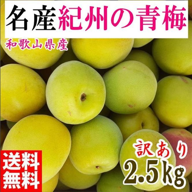 ya̎RLc쒬z~ 2.5kg IB썂~ VbvE~E~pȂ a̎RLcY 󂠂 2026N5{`7{\  CE050