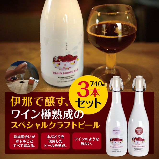伊那で醸す、ワイン樽熟成のスペシャルクラフトビール740ml×3本セット　（熟成度合いがボトルごとすべて異なります。山ぶどうを使用したビールを熟成。ワインのような味わい）|伊那市 長野県 信州 クラフトビール スペシャル お酒 アルコール ビール【037-13】