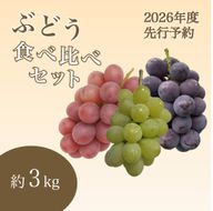 【2026年度_先行予約】【ご家庭用】ぶどう食べ比べセット 約3kg〔2026年8月中旬より順次発送〕 232238_CR08-PR