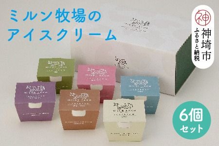 佐賀脊振高原ミルン牧場のアイスクリーム6個セット【手作り 濃厚 生乳 ミルク バニラ 抹茶 チョコ ストロベリー ラムレーズン】(H102121)