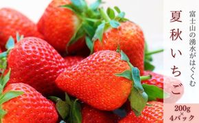 【2026年 先行予約】【湧水のミネラルたっぷり！山梨の夏秋いちご】ご家庭用 200ｇ× 4パック BB007