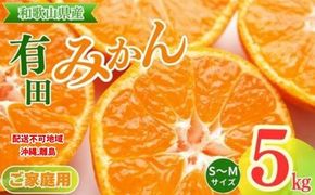 【先行予約】【ご家庭用】和歌山有田みかん約5kg(S、Mサイズ) ｜ みかん 有田みかん 温州みかん ミカン 温州ミカン 柑橘 果物 フルーツ 甘い 先行予約 s m 甘い 5kg
