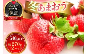 いちご あまおう 冬あまおう 270g以上 2p 計540g以上 【12月前半〜1月後半発送】 期間限定発送 [ストロベリーファーム 福岡県 宇美町 um40azp070002] 先行予約 イチゴ 苺 フルーツ 果物 果実 甘い 小分け あまい 2パック