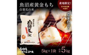 【通年受付】≪令和8年産≫ 農家直送！魚沼産黄金もち「白羽毛の米」精米(5kg×1袋) 5kg お米 白米