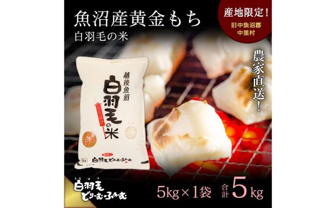 【通年受付】≪令和8年産≫ 農家直送！魚沼産黄金もち「白羽毛の米」精米(5kg×1袋) 5kg お米 白米