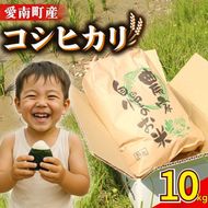 新米 令和8年産 コシヒカリ 10kg ( 10kg×1袋 ) 米 お米 白米 精米 こしひかり 人気 産地直送 国産 農家直送 期間限定 数量限定 特産品 2026年産 大粒 もっちり 粘り 甘み おいしい おにぎり 贈答品 プレゼント 和家農園 愛南町 愛媛県