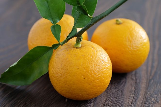 くねぶ果汁 3本 セット [子守唄の里五木 熊本県 五木村 51120350] フルーツ果汁 希釈 果汁 ストレート