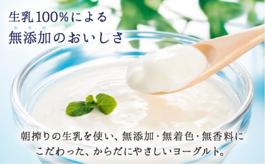 【選べる内容量/種類】大富牧場の無添加ヨーグルト（プレーン/グリークヨーグルト）
