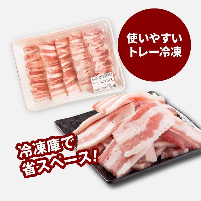 宮崎県産豚バラ焼肉 500g K16_0188